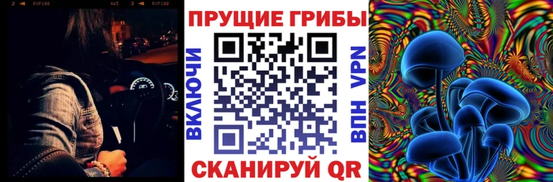 Галлюциногенные грибы Magic Shrooms  Солнечногорск 