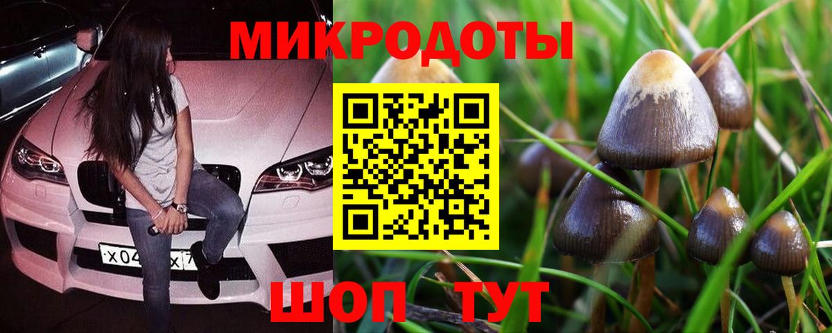 Галлюциногенные грибы мухоморы Солнечногорск