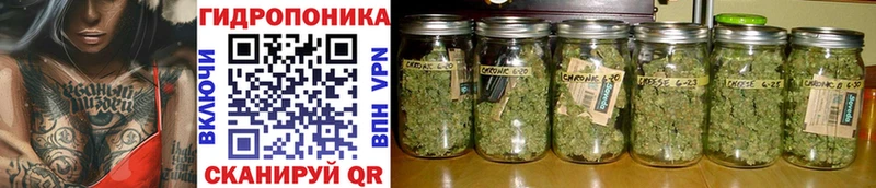 Бошки марихуана OG Kush  Солнечногорск 